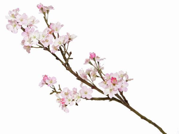 Apple blossom | Fleurs de Pommier 104cm Pink