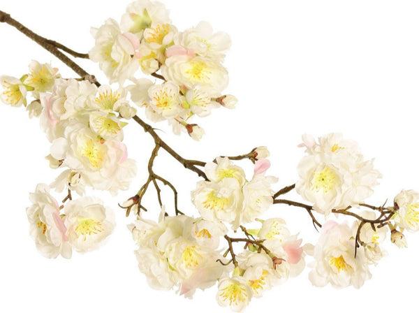 Cherry Blossom | Fleurs de Cerisier 92cm Creme