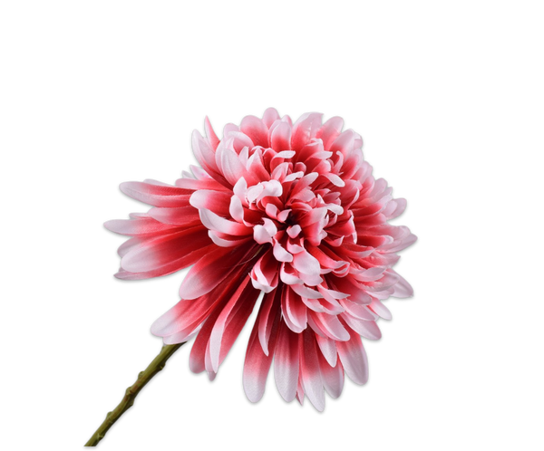 Chrysanthemum | Chrysanthème 53cm Pink