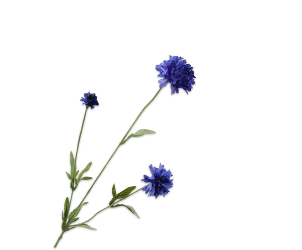 Cornflower | Bleuet 65cm RealTouch Dark Lavender