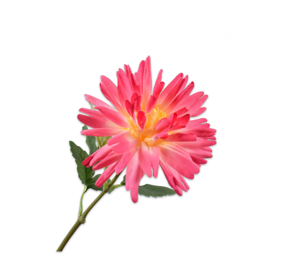 Dahlia 59cm Pink Yellow