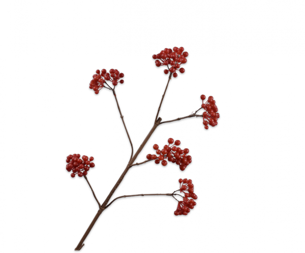 Berries | Baies 79cm Red