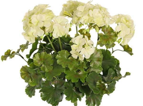 Geranium 39cm White UVsafe