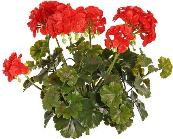 Geranium 39cm Red UVsafe